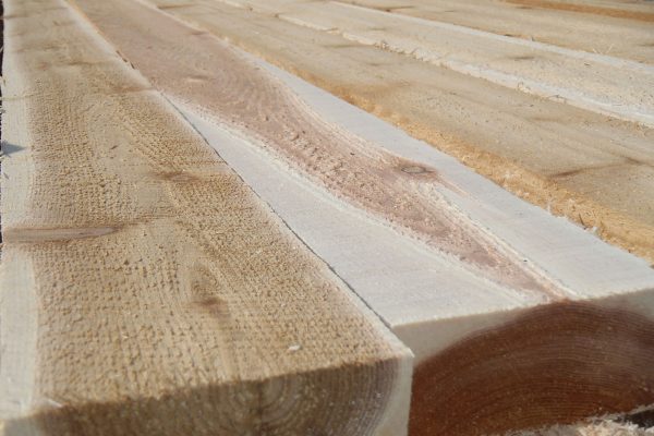 Sapwood-Hardwood Cedar Sapwood-Hardwood