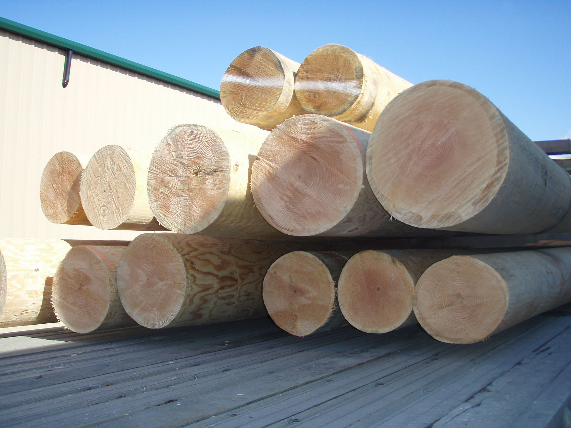 Cedar & Douglas Fir Logs