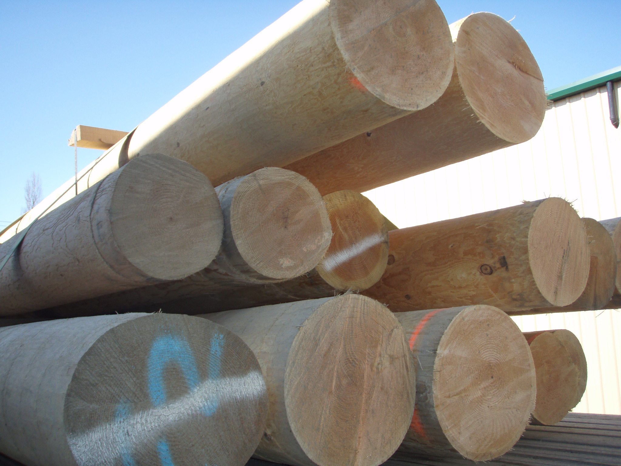 Cedar & Douglas Fir Logs