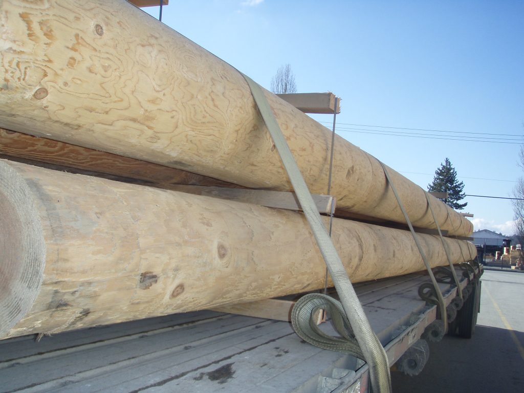Cedar Logs
