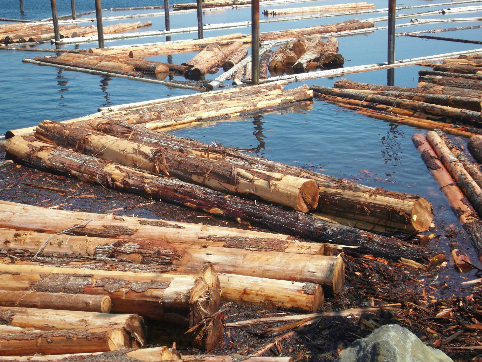 Cedar & Douglas Fir Logs PowerWood Corp.