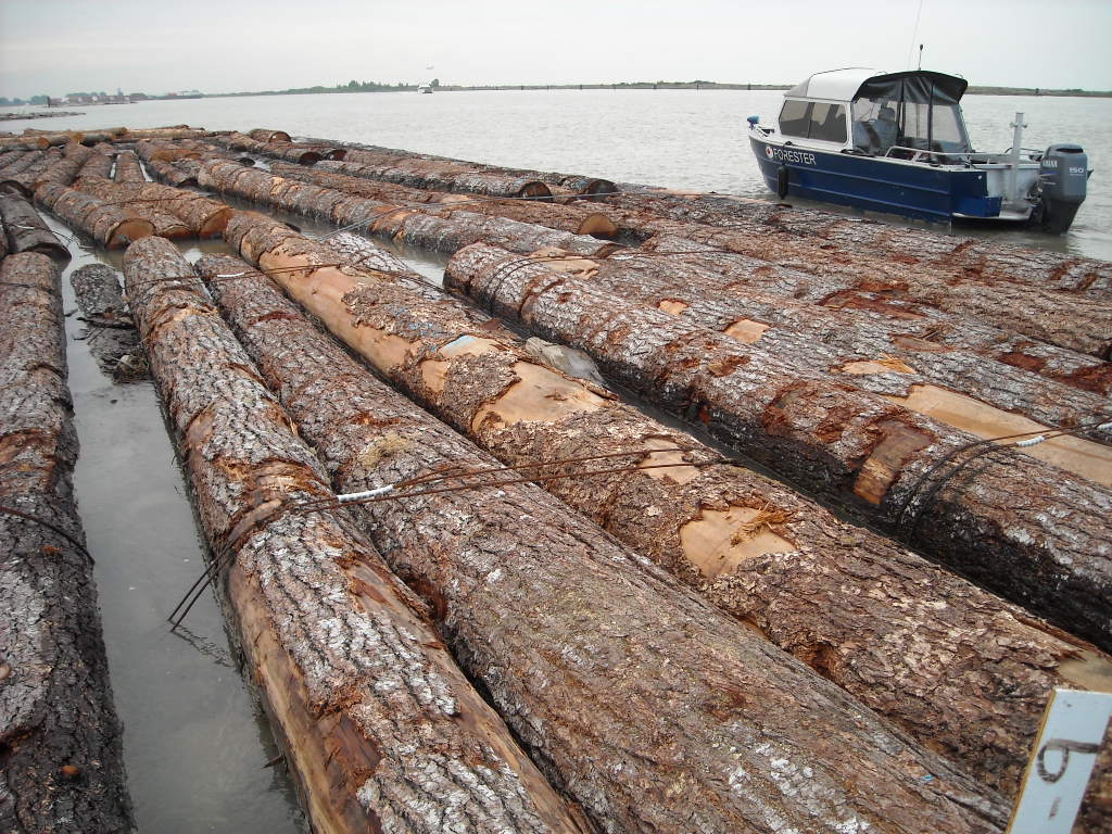 PowerWood Corp. Cedar and Douglas Fir Logs PowerWood Corp.